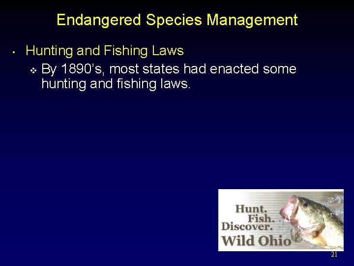 Endangered Species Management • Hunting and Fishing Laws v By 1890’s, most states had