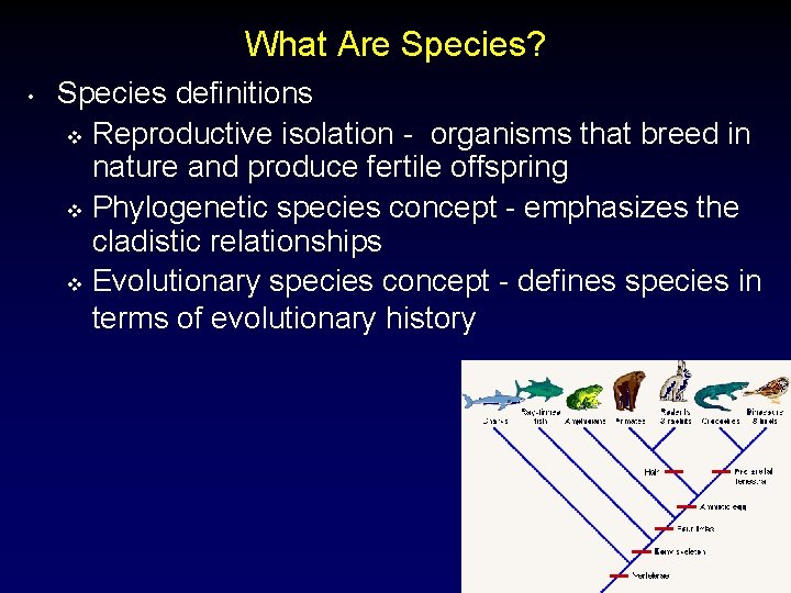 What Are Species? • Species definitions v Reproductive isolation - organisms that breed in