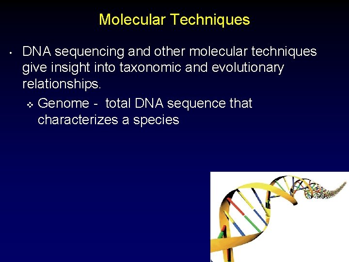 Molecular Techniques • DNA sequencing and other molecular techniques give insight into taxonomic and