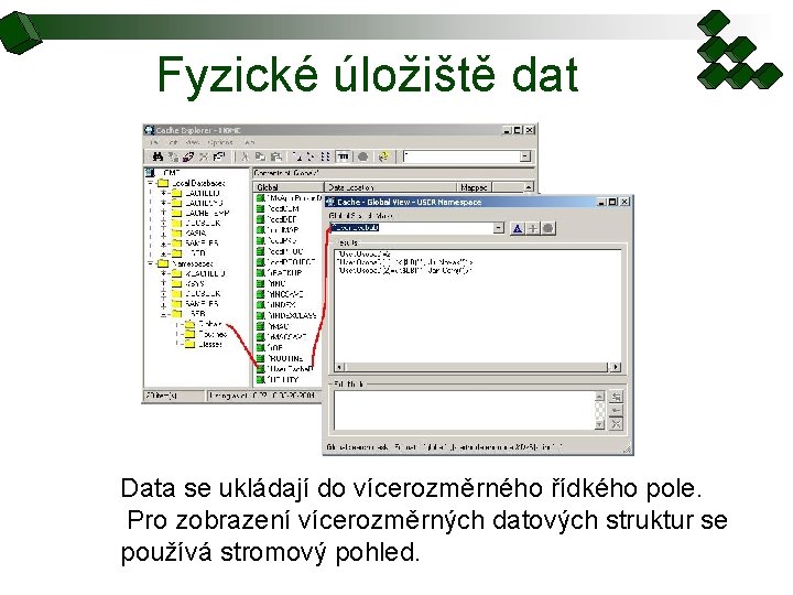 Fyzické úložiště dat Data se ukládají do vícerozměrného řídkého pole. Pro zobrazení vícerozměrných datových