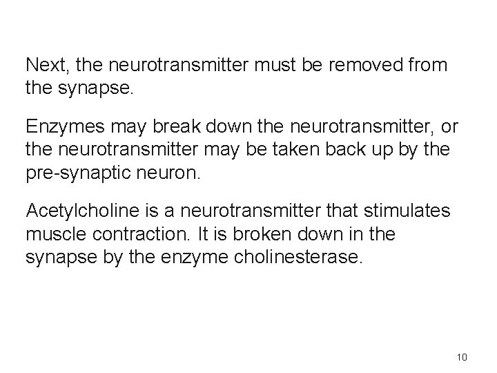 Next, the neurotransmitter must be removed from the synapse. Enzymes may break down the