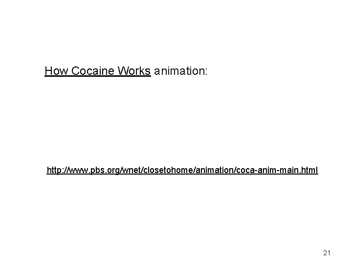 How Cocaine Works animation: http: //www. pbs. org/wnet/closetohome/animation/coca-anim-main. html 21 