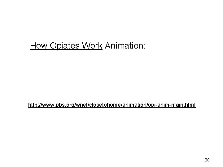 How Opiates Work Animation: http: //www. pbs. org/wnet/closetohome/animation/opi-anim-main. html 30 
