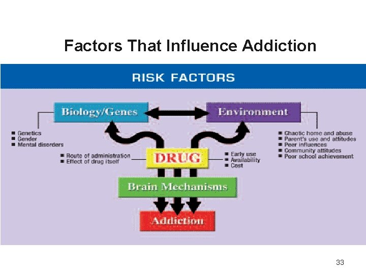 Factors That Influence Addiction 33 