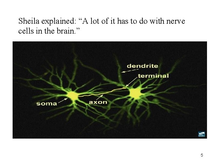 Sheila explained: “A lot of it has to do with nerve cells in the