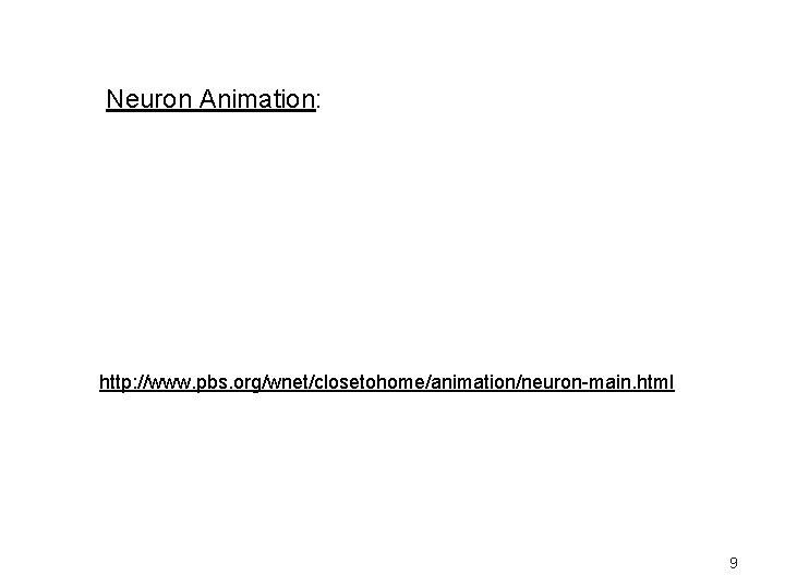 Neuron Animation: http: //www. pbs. org/wnet/closetohome/animation/neuron-main. html 9 
