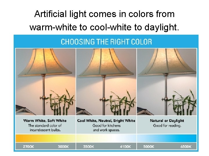 Artificial light comes in colors from warm-white to cool-white to daylight. 