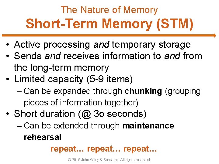 The Nature of Memory Short-Term Memory (STM) • Active processing and temporary storage •