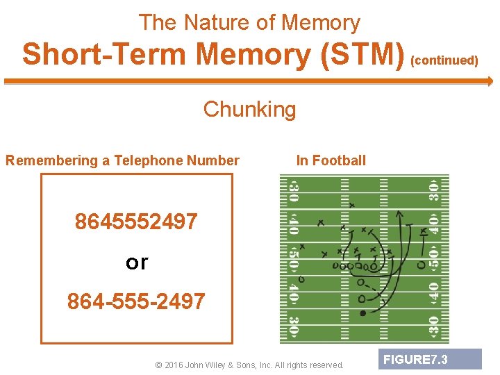 The Nature of Memory Short-Term Memory (STM) (continued) Chunking Remembering a Telephone Number In