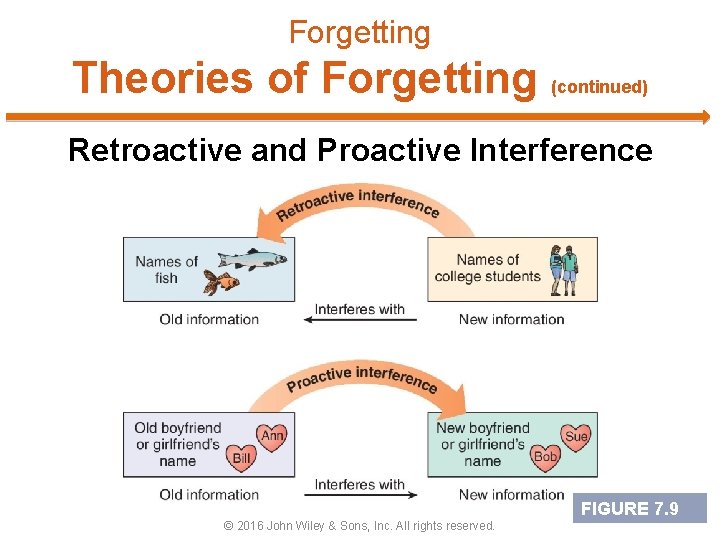 Forgetting Theories of Forgetting (continued) Retroactive and Proactive Interference FIGURE 7. 9 © 2016