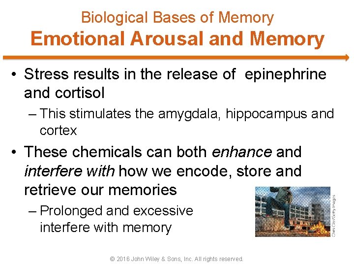 Biological Bases of Memory Emotional Arousal and Memory • Stress results in the release