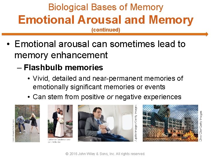 Biological Bases of Memory Emotional Arousal and Memory (continued) • Emotional arousal can sometimes