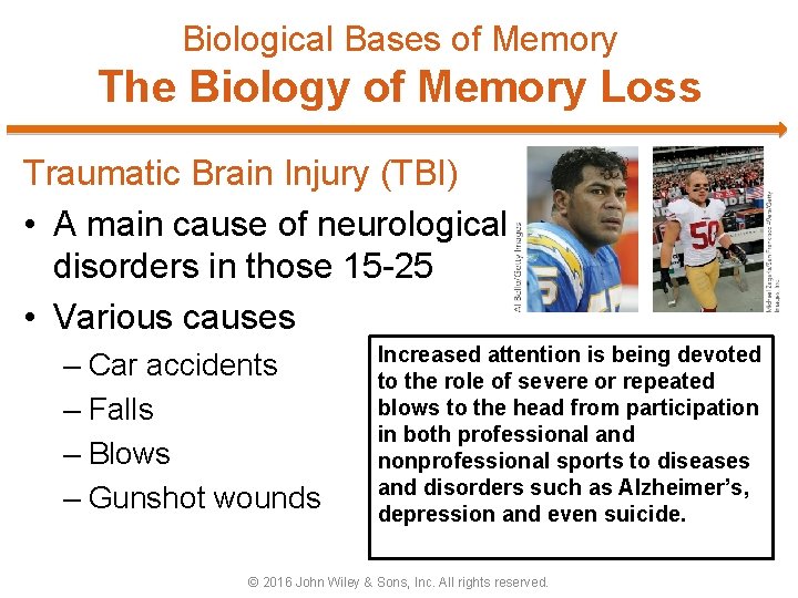 Biological Bases of Memory The Biology of Memory Loss Traumatic Brain Injury (TBI) •