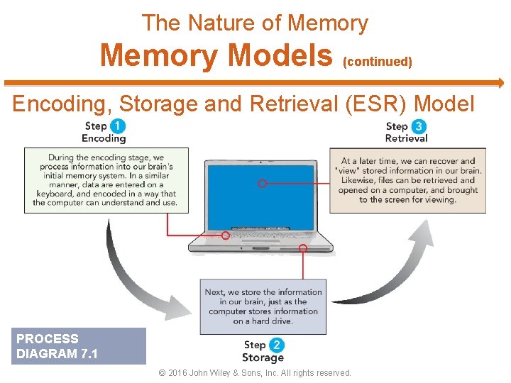 The Nature of Memory Models (continued) Encoding, Storage and Retrieval (ESR) Model PROCESS DIAGRAM