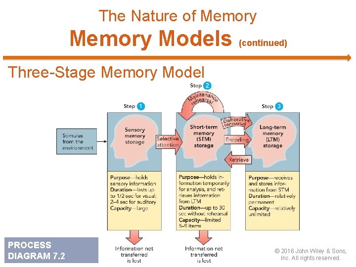 The Nature of Memory Models (continued) Three-Stage Memory Model PROCESS DIAGRAM 7. 2 ©