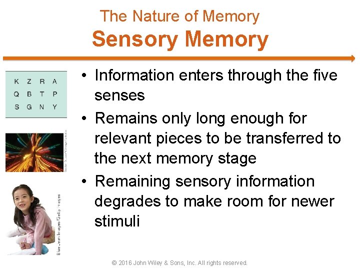 The Nature of Memory Sensory Memory • Information enters through the five senses •