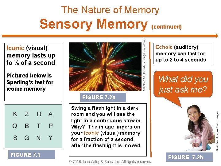 The Nature of Memory Sensory Memory (continued) Echoic (auditory) memory can last for up