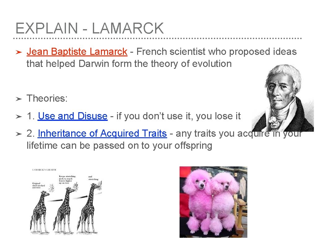 EXPLAIN - LAMARCK ➤ Jean Baptiste Lamarck - French scientist who proposed ideas that