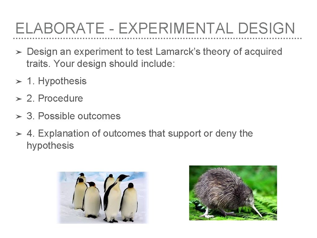 ELABORATE - EXPERIMENTAL DESIGN ➤ Design an experiment to test Lamarck’s theory of acquired