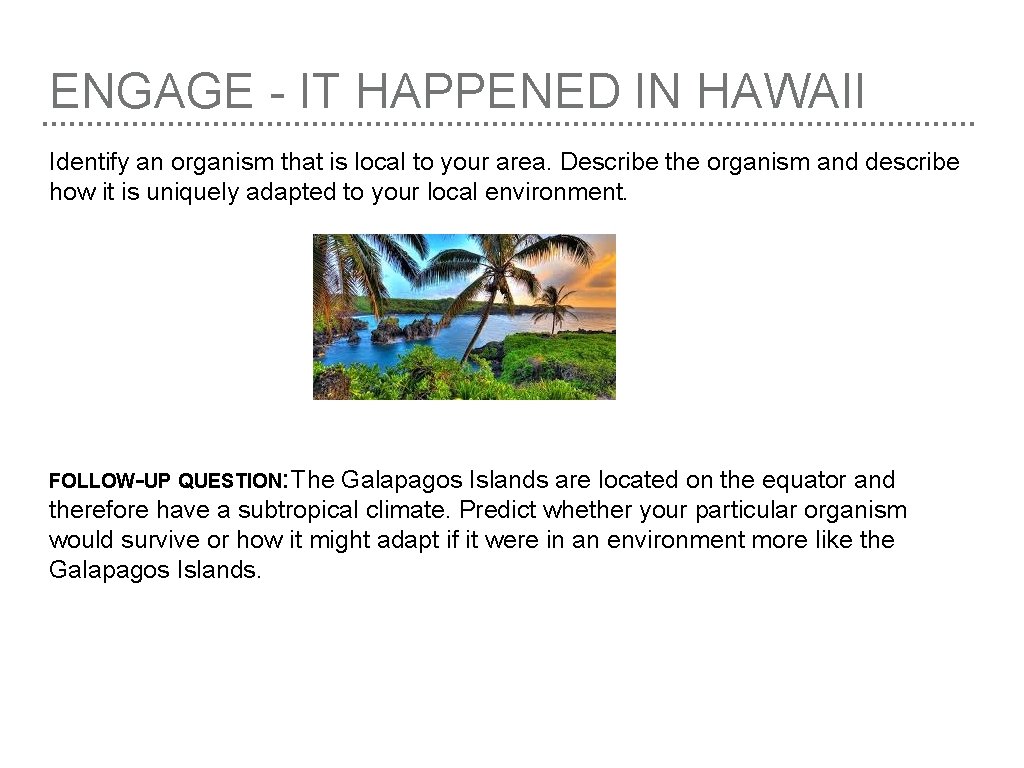 ENGAGE - IT HAPPENED IN HAWAII Identify an organism that is local to your