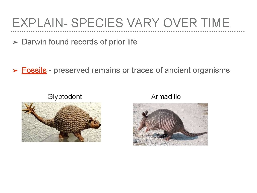 EXPLAIN- SPECIES VARY OVER TIME ➤ Darwin found records of prior life ➤ Fossils