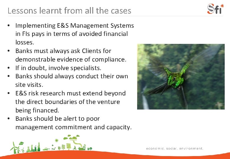 Lessons learnt from all the cases • Implementing E&S Management Systems in FIs pays