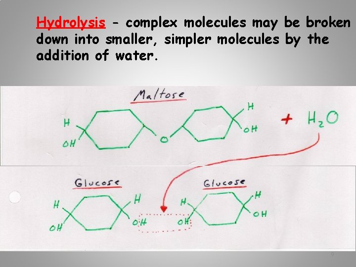 Hydrolysis - complex molecules may be broken down into smaller, simpler molecules by the