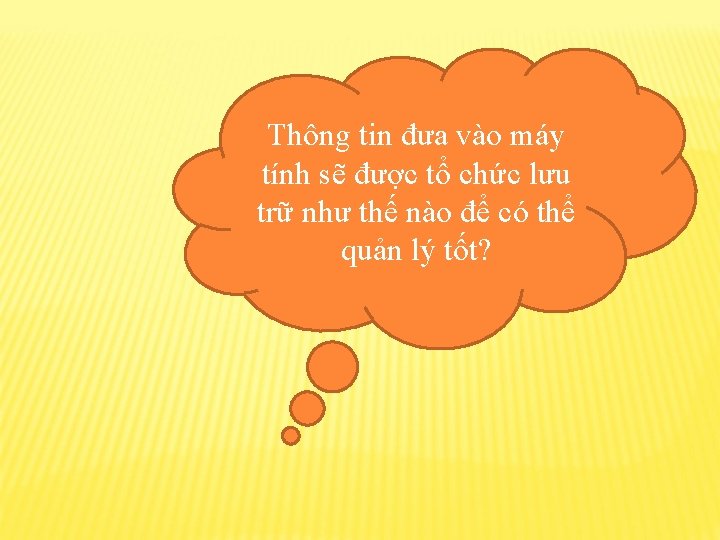 Thông tin đưa vào máy tính sẽ được tổ chức lưu trữ như thế