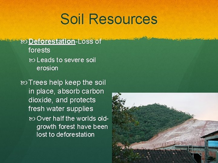 Soil Resources Deforestation-Loss of forests Leads to severe soil erosion Trees help keep the