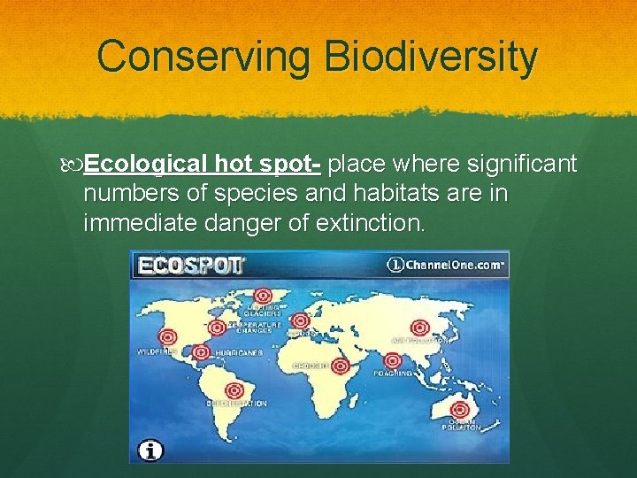 Conserving Biodiversity Ecological hot spot- place where significant numbers of species and habitats are