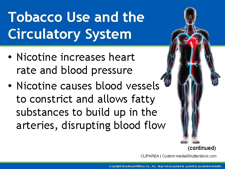 Tobacco Use and the Circulatory System • Nicotine increases heart rate and blood pressure