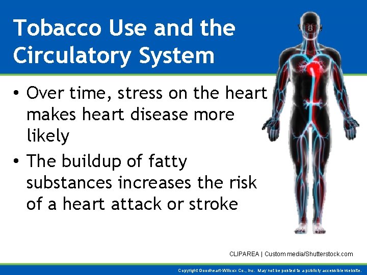 Tobacco Use and the Circulatory System • Over time, stress on the heart makes