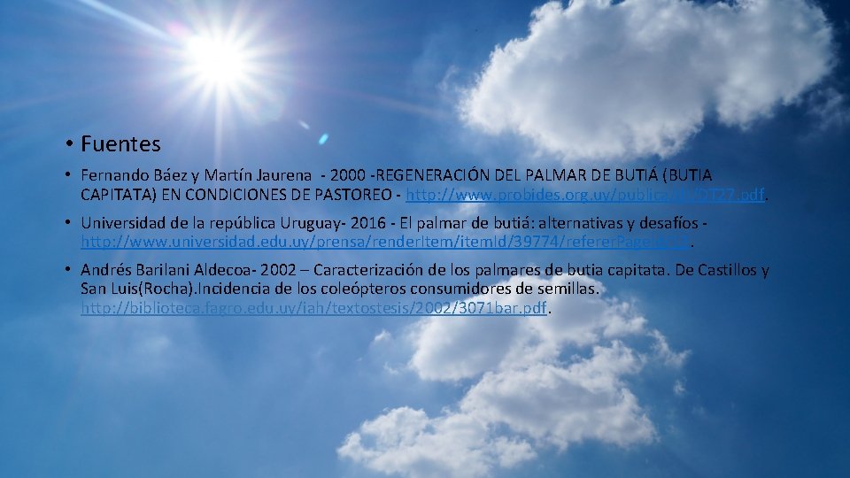  • Fuentes • Fernando Báez y Martín Jaurena - 2000 -REGENERACIÓN DEL PALMAR