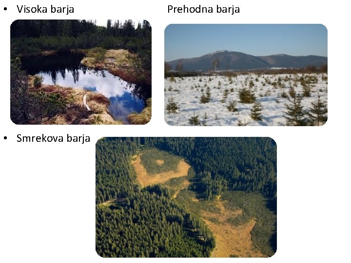  • Visoka barja • Smrekova barja Prehodna barja 