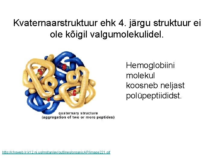 Kvaternaarstruktuur ehk 4. järgu struktuur ei ole kõigil valgumolekulidel. Hemoglobiini molekul koosneb neljast polüpeptiididst.