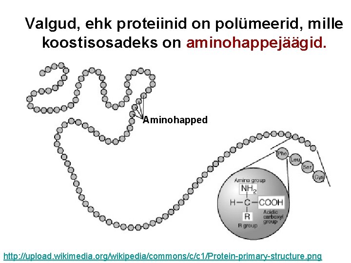 Valgud, ehk proteiinid on polümeerid, mille koostisosadeks on aminohappejäägid. Aminohapped http: //upload. wikimedia. org/wikipedia/commons/c/c