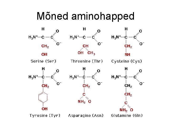 Mõned aminohapped 