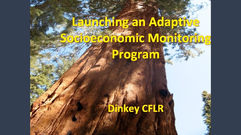 Launching an Adaptive Socioeconomic Monitoring Program Dinkey CFLR 