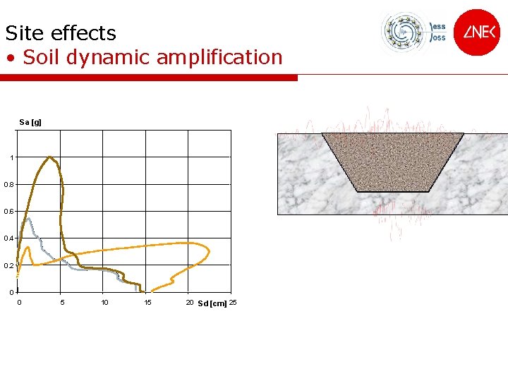 Site effects • Soil dynamic amplification Sa [g] 1. 2 1 0. 8 0.