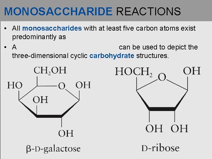 MONOSACCHARIDE REACTIONS • All monosaccharides with at least five carbon atoms exist predominantly as