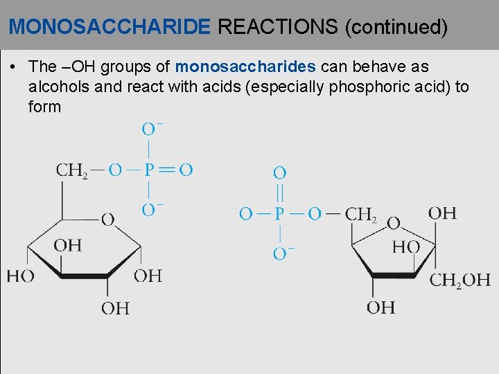 MONOSACCHARIDE REACTIONS (continued) • The –OH groups of monosaccharides can behave as alcohols and