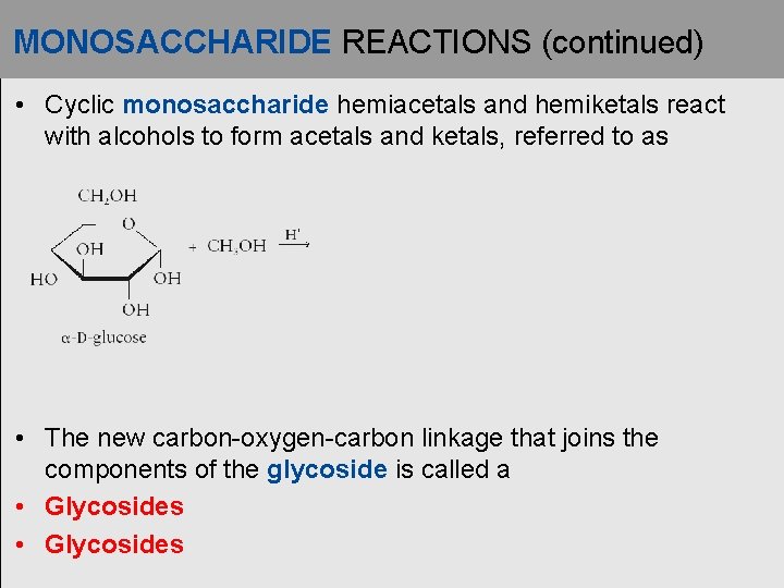 MONOSACCHARIDE REACTIONS (continued) • Cyclic monosaccharide hemiacetals and hemiketals react with alcohols to form