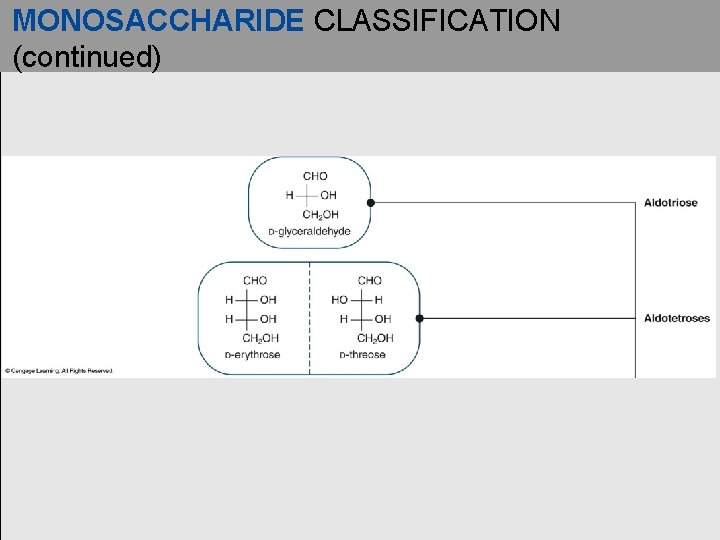 MONOSACCHARIDE CLASSIFICATION (continued) 