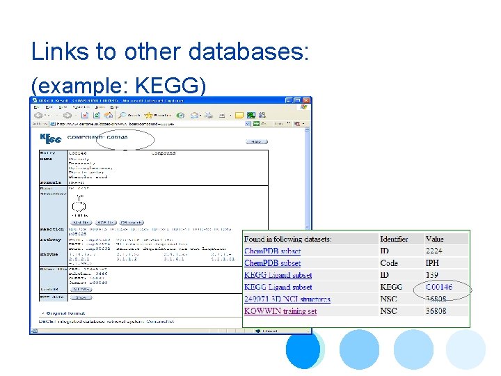 Links to other databases: (example: KEGG) 