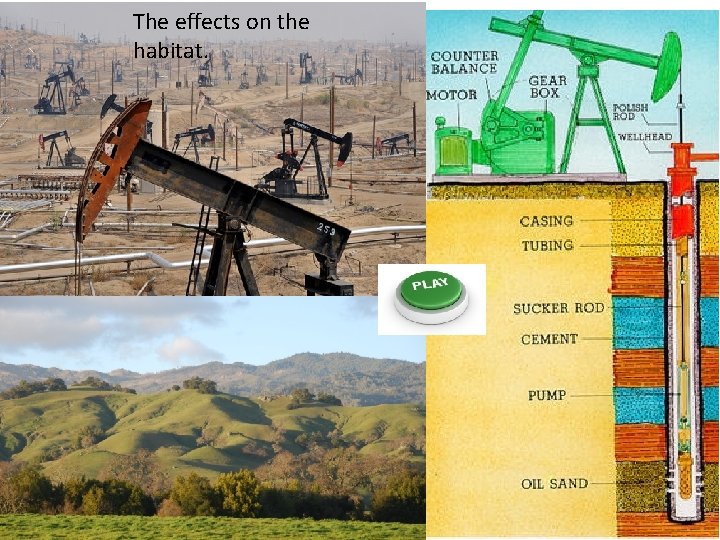 The effects on the habitat. 