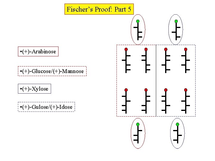 Fischer’s Proof: Part 5 • (+)-Arabinose • (+)-Glucose/(+)-Mannose • (+)-Xylose • (+)-Gulose/(+)-Idose 