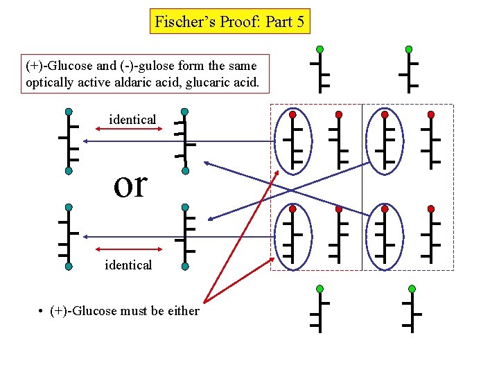 Fischer’s Proof: Part 5 (+)-Glucose and (-)-gulose form the same optically active aldaric acid,