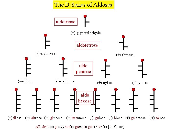 The D-Series of Aldoses aldotriose (+)-glyceraldehyde aldotetrose (-)-erythrose (+)-threose aldo pentose (-)-ribose (-)-arabinose (+)-xylose