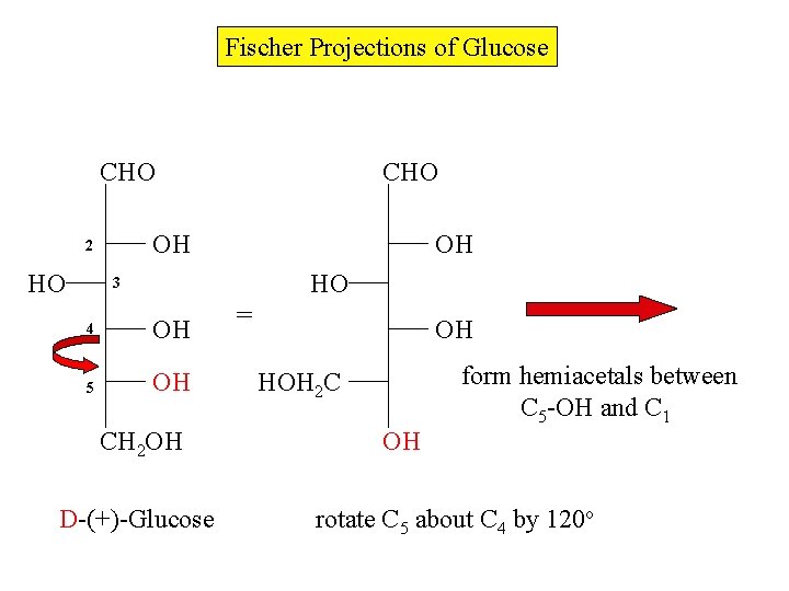 Fischer Projections of Glucose CHO OH 2 HO CHO OH HO 3 4 OH