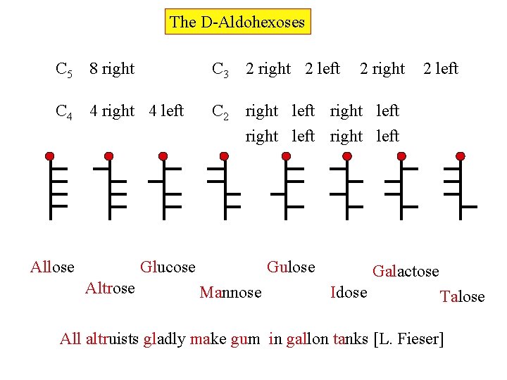 The D-Aldohexoses C 5 8 right C 3 2 right 2 left C 4